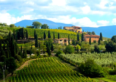 10 cамые дорогие вина Италии